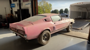 Pink 1967 Shelby GT500
